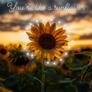 Meet your Posher, Kristy